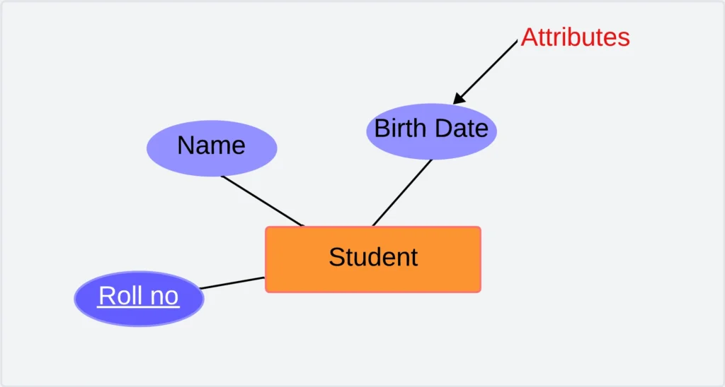 Key Attribute in DBMS